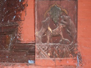 Собаки