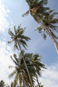 Kho Chang