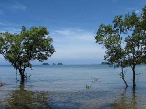 Kho Chang Lonely beech