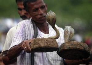 Snake