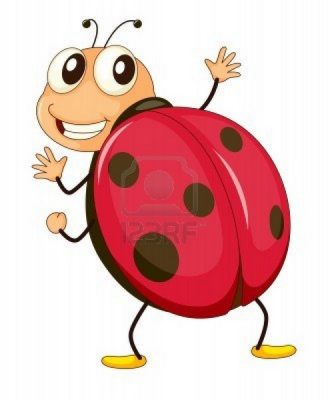 Ladybird
