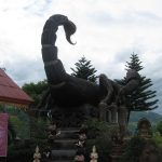 Нападают ли скорпионы на Скорпионов?