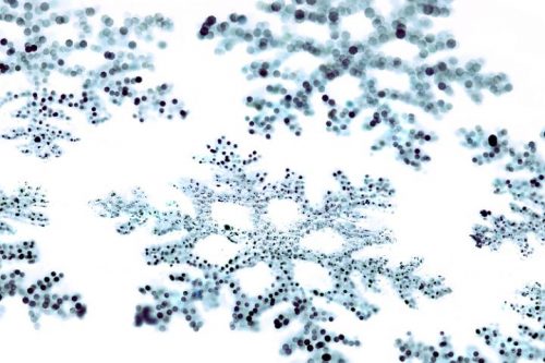 Snowflakes