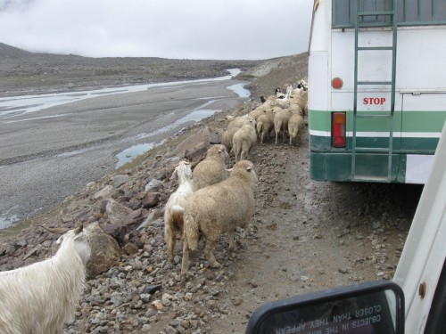 Lahaul