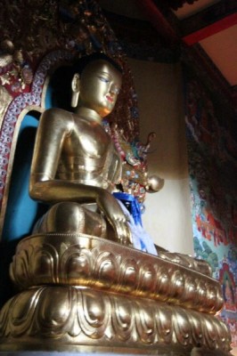 Budda