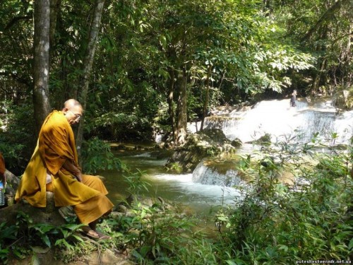 Monk