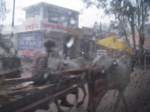 Rain