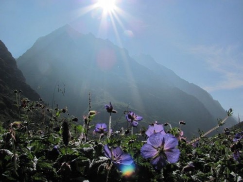 Himalaya