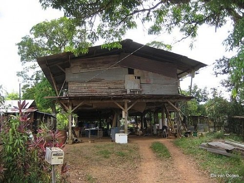 Hmong-House