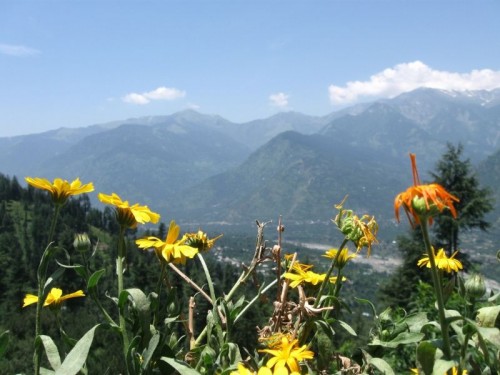 Kullu