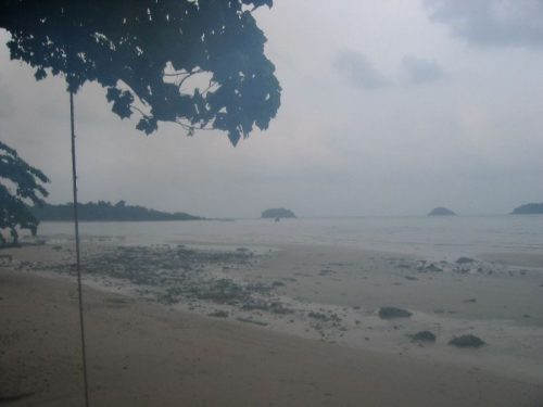 Rain