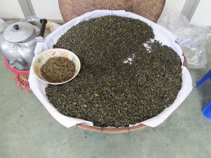 Oolong