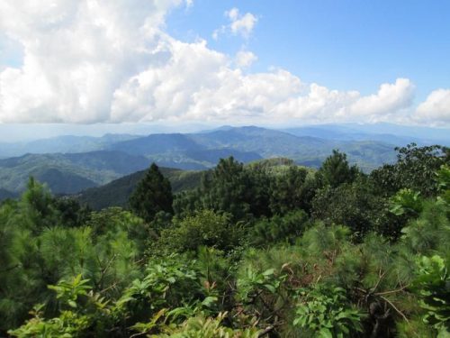 Mountain