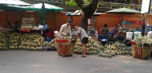 Pineapple