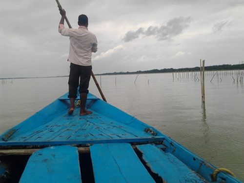 Chilika lake