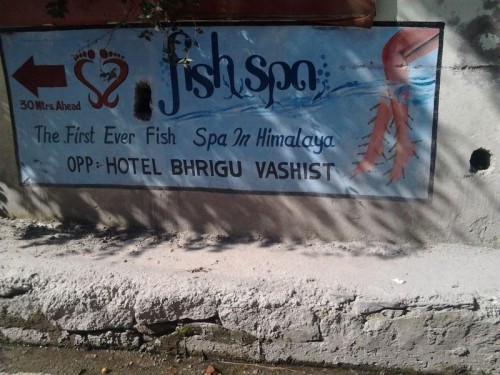 Fish_spa