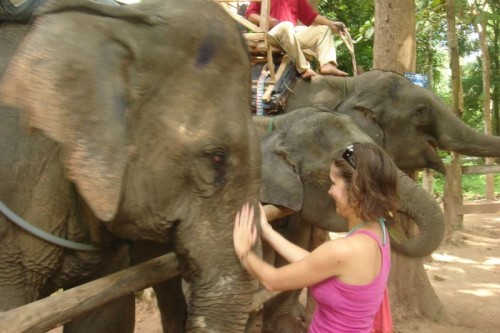 Elefant