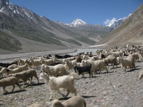 Lahaul