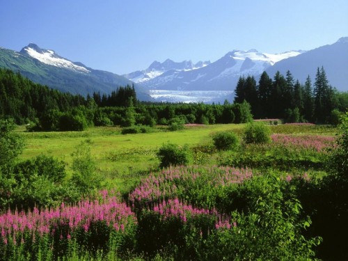 Alaska