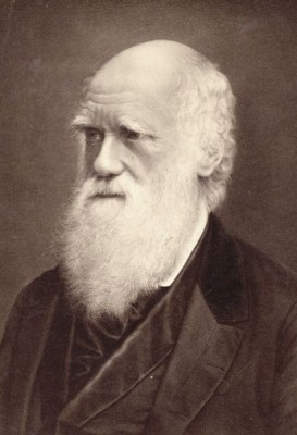 darwin