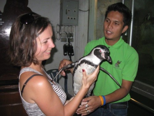 Penguin