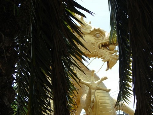 Dragon_Gold