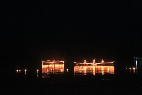 Sheep_Mekong