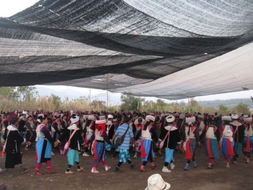 Lisu