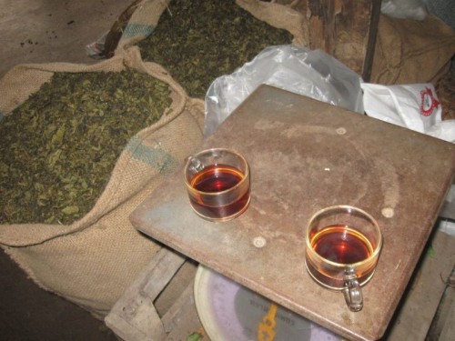 Assam_tea_Thailand