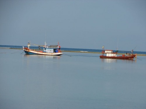 Nai_Yang