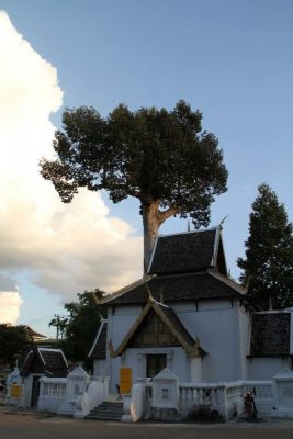 Wat_Chedi_Luang