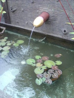 Erotic_Garden30