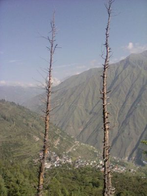 Himalaya1