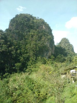 Jabo_view_point